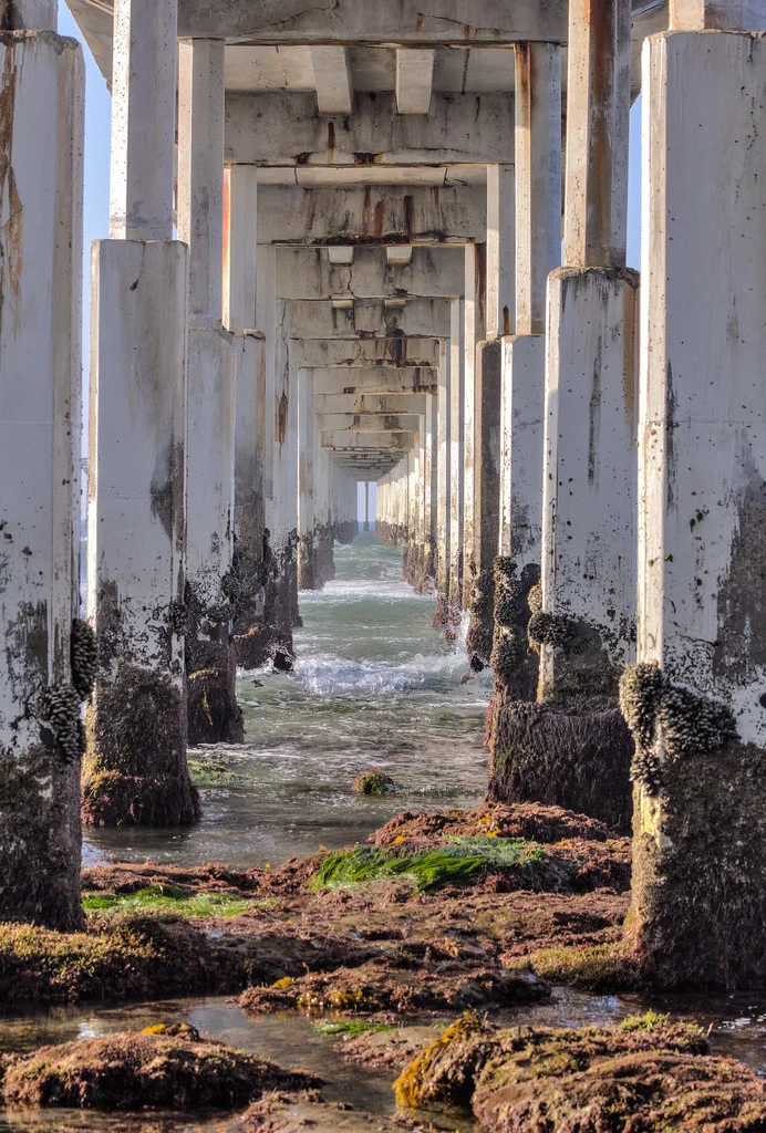 Pilings