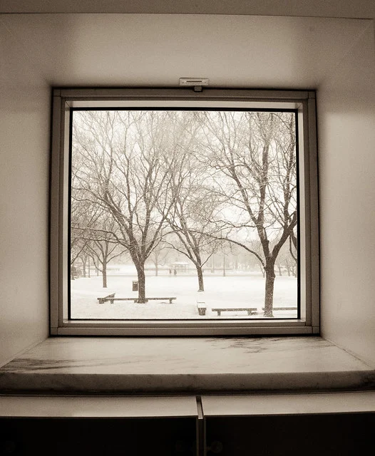 Winter Scene